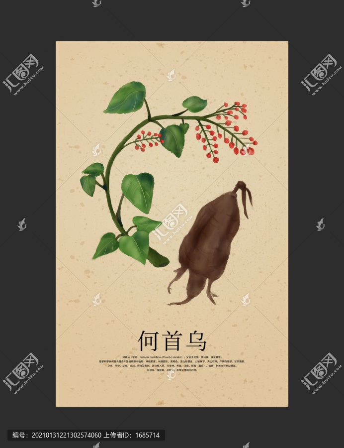 何首烏
