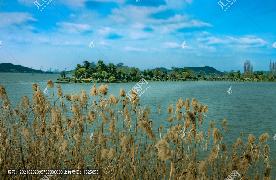 马山湿地