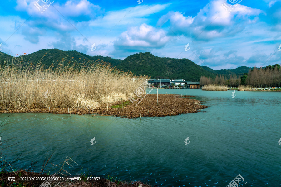 马山湿地