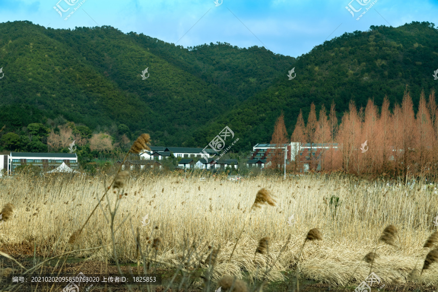 马山湿地