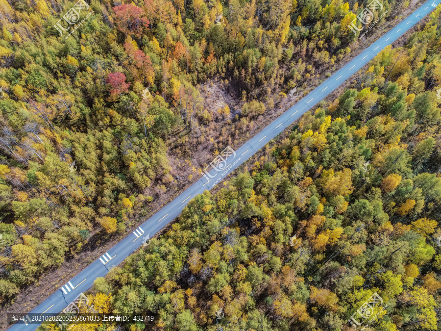 无人机航拍秋季森林道路