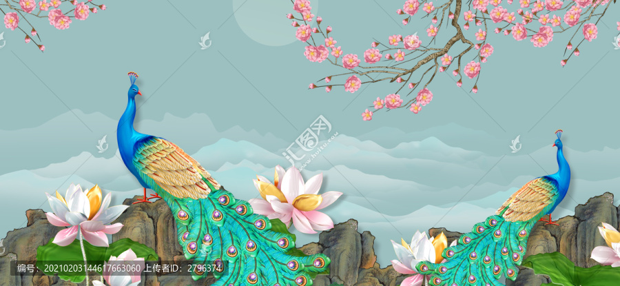 孔雀梅花