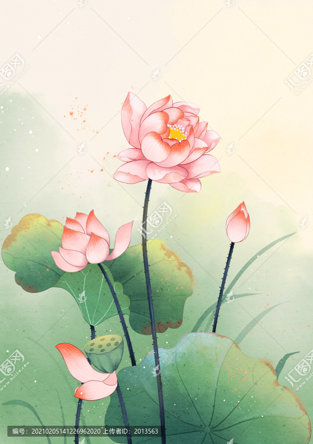 水彩荷花