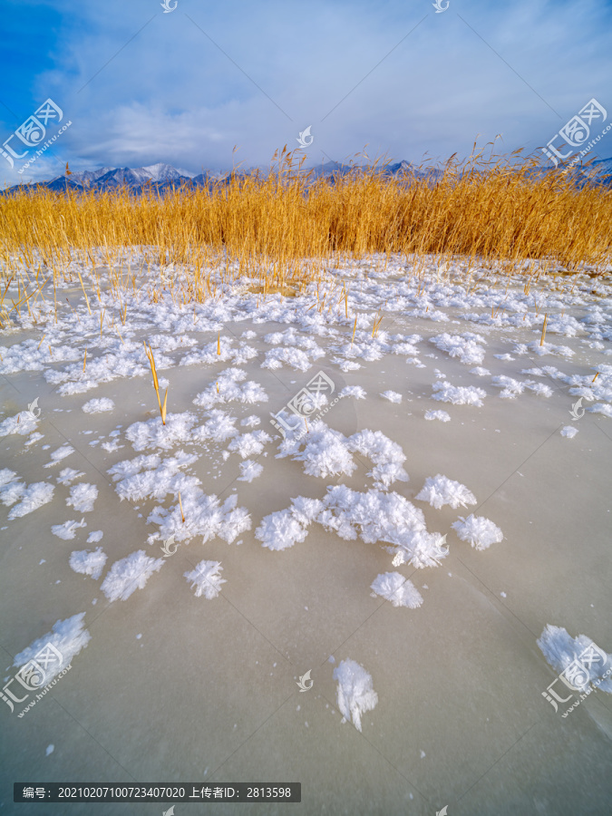 盐湖冰花