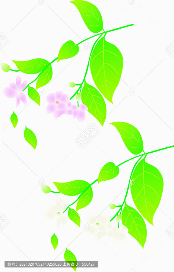 自己畫的花