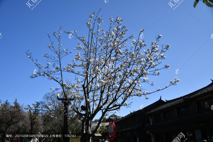 丽江古城