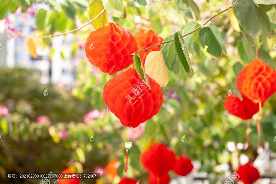 中国传统新年挂红灯笼挂