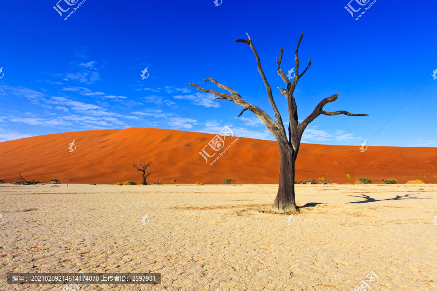 纳米比亚红沙漠中的死亡谷