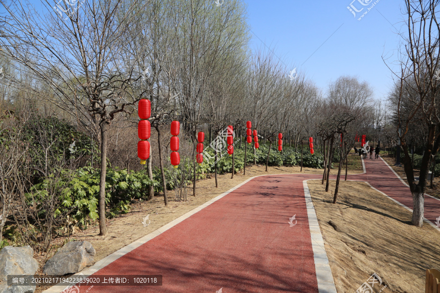 园林景观步道