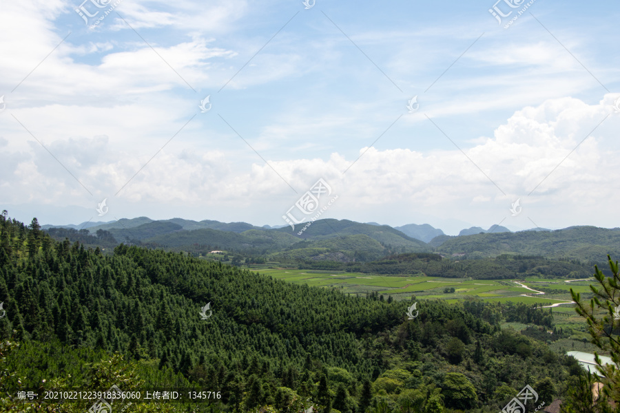 丘陵山地树木