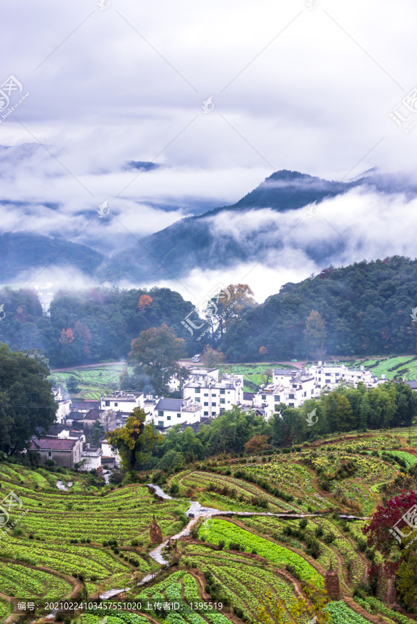 云雾山景