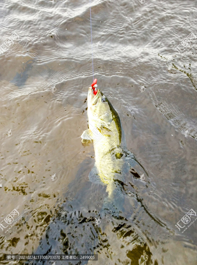 釣魚