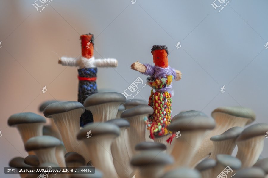 蘑菇童话世界中的迷你小人