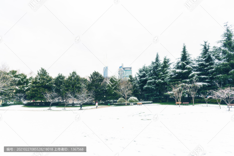 雪景