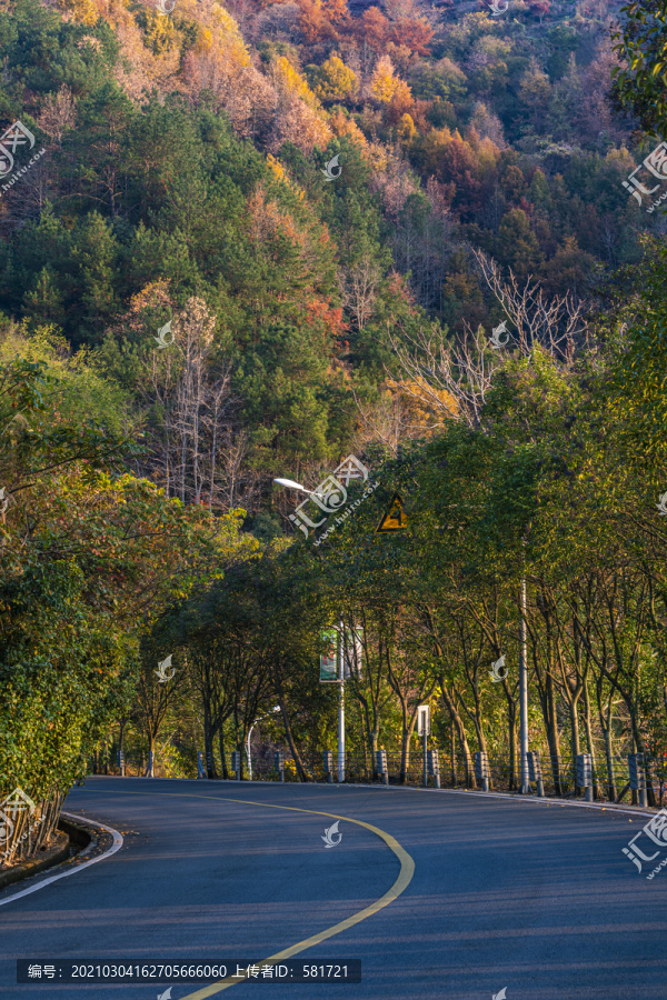 秋天美丽的公路