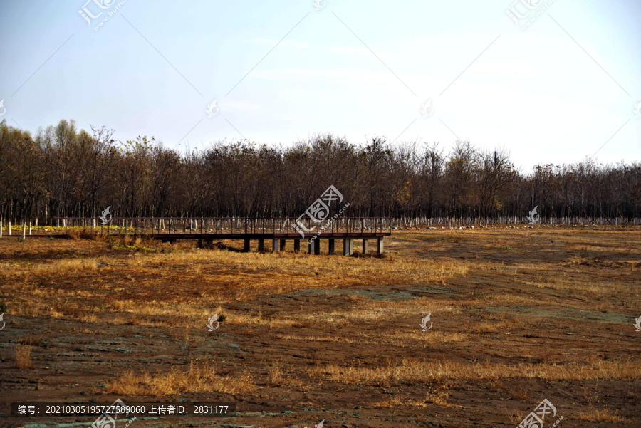 马驹桥湿地公园