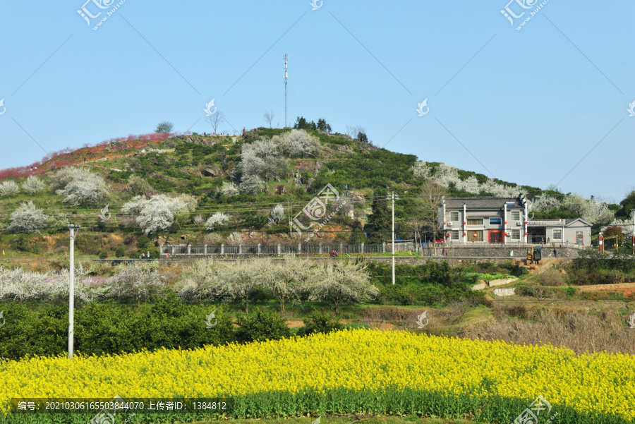 春天风景