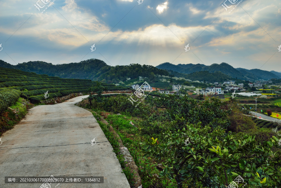 春天风景