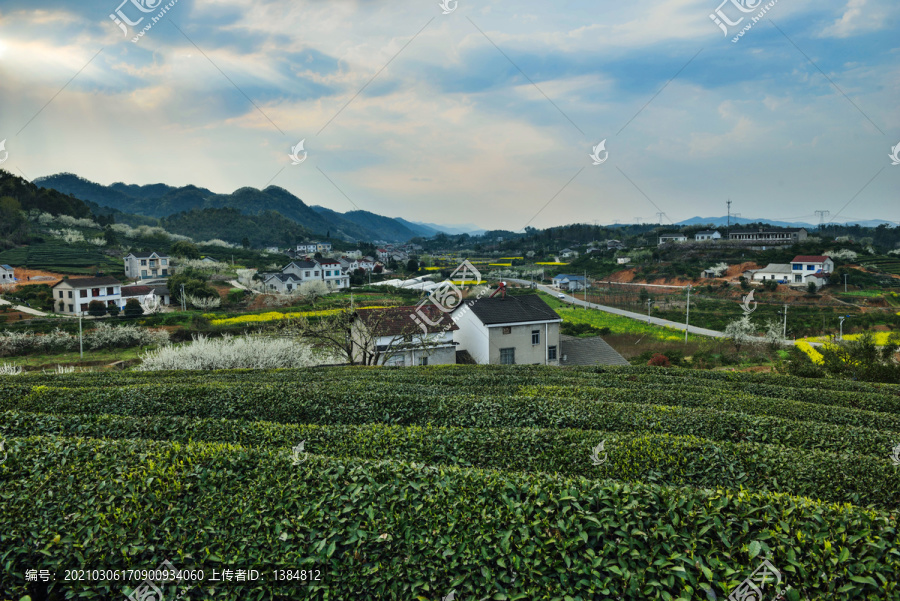 春天风景