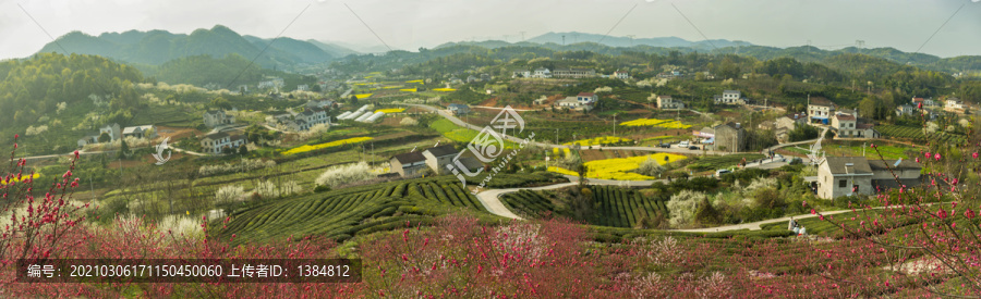 春天风景