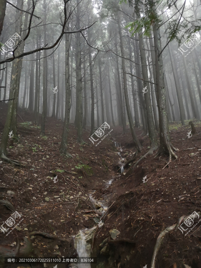 山水风景