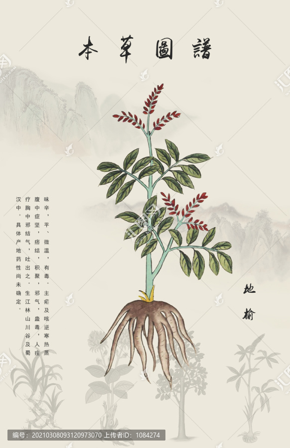 地榆