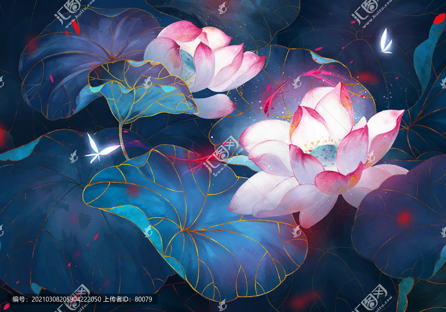 荷花插畫