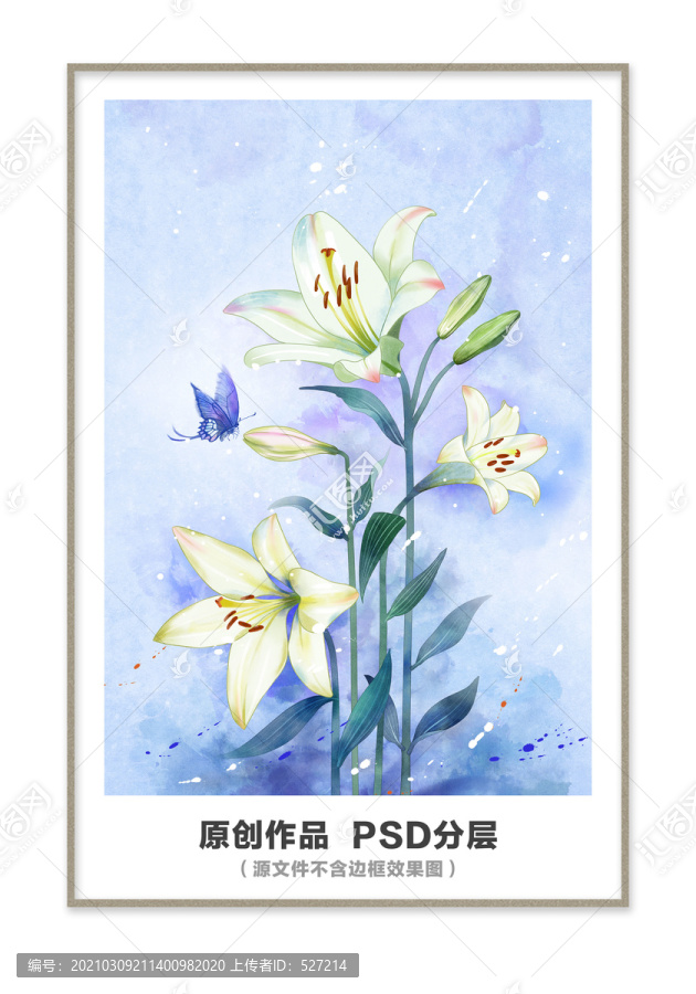 水彩百合花插畫