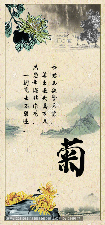 菊