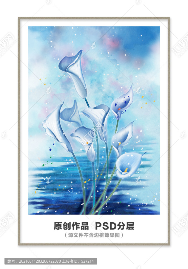 水彩馬蹄蓮插畫(huà)