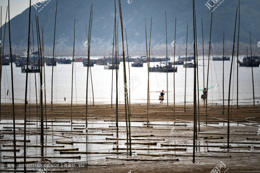 福建霞浦