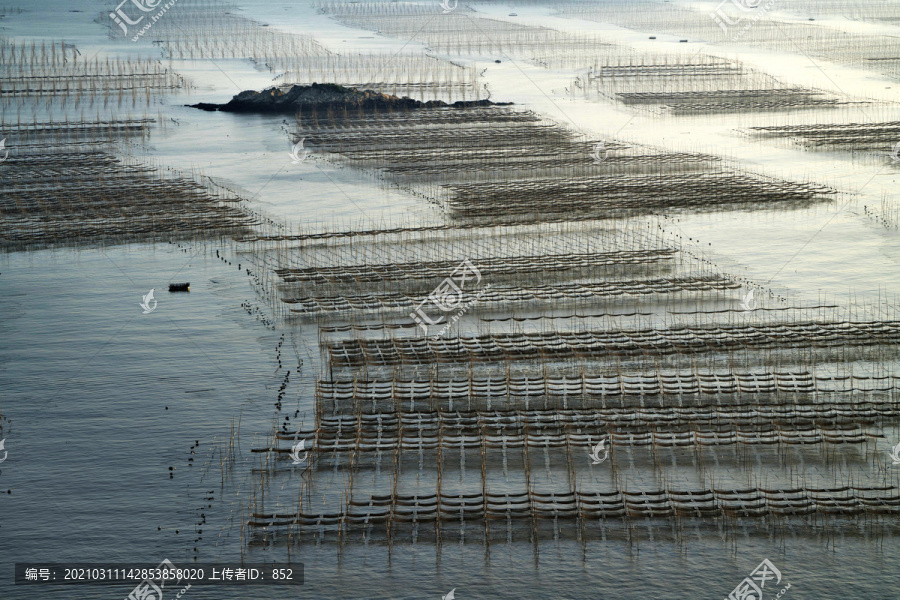 福建霞浦