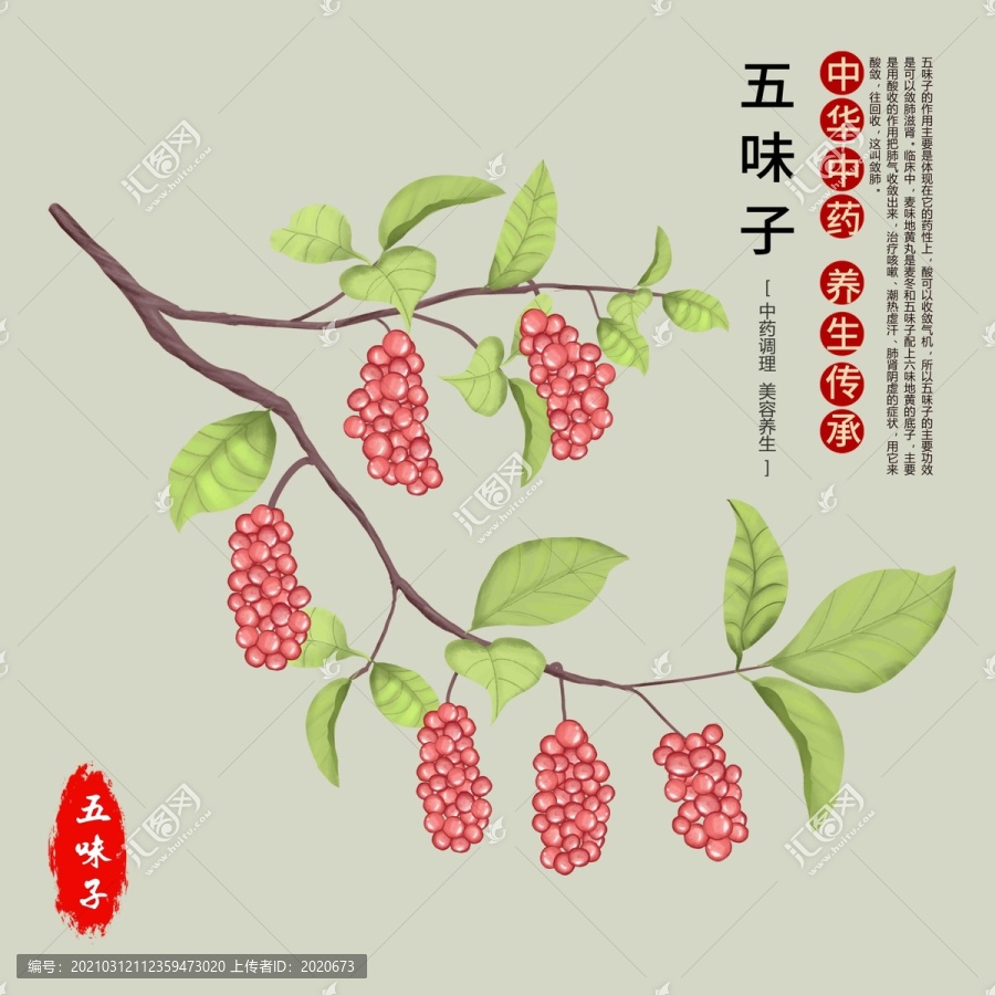 五味子