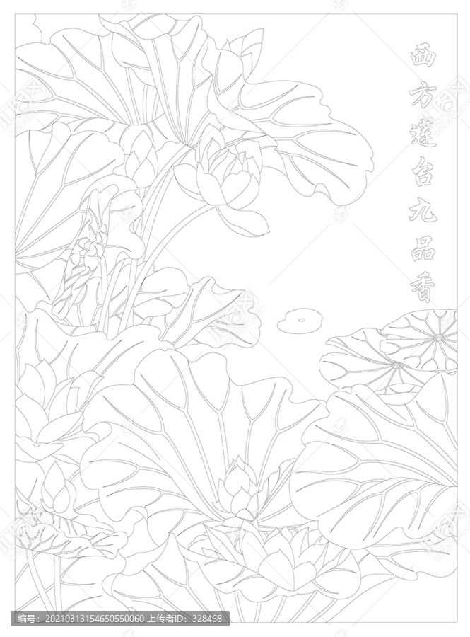 荷花線描圖