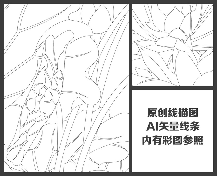 荷花線描圖