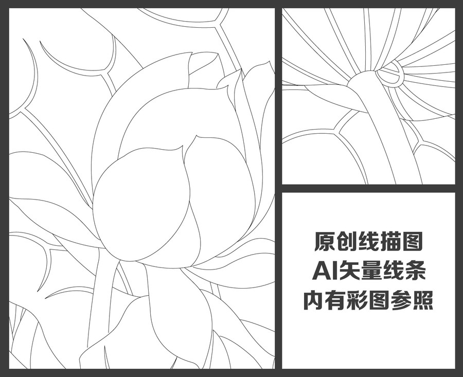 荷花線描圖