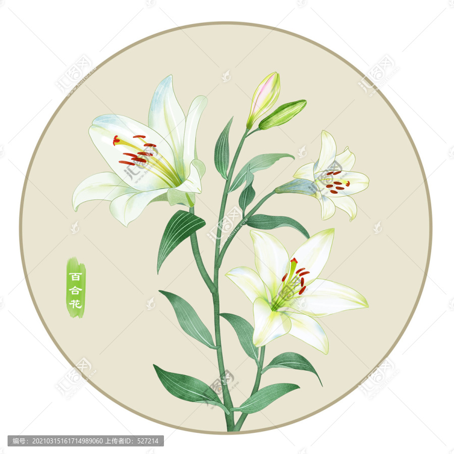 百合花