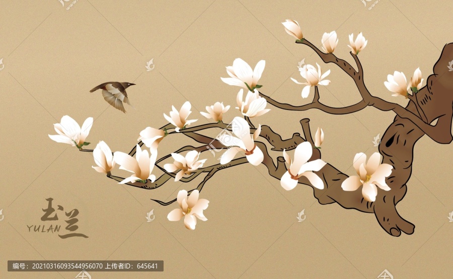玉蘭花