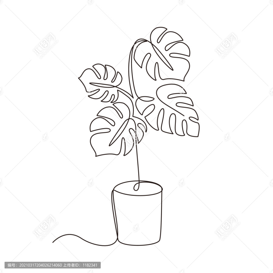 抽象線條一筆畫龜背竹盆栽