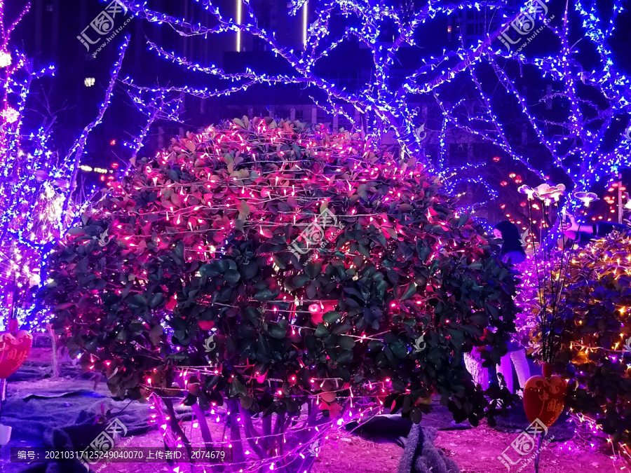 节日植物装饰彩灯