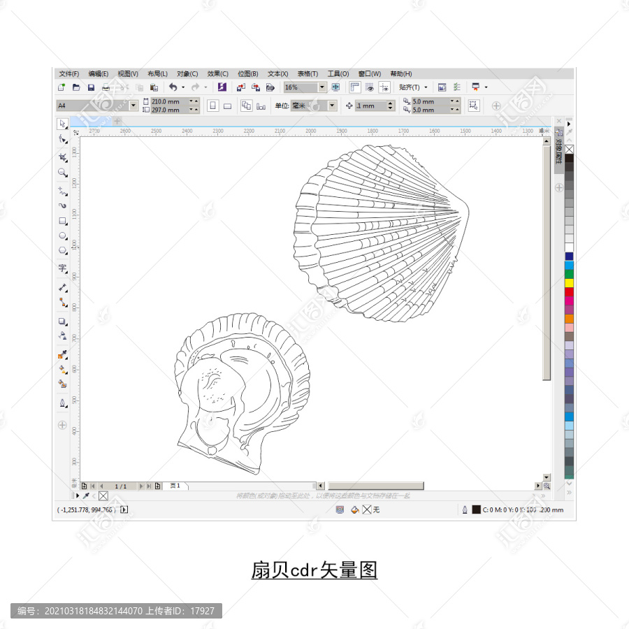 扇貝cdr矢量圖