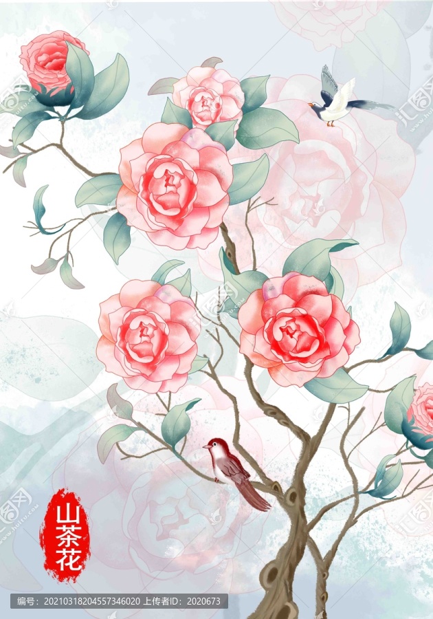 茶花插畫