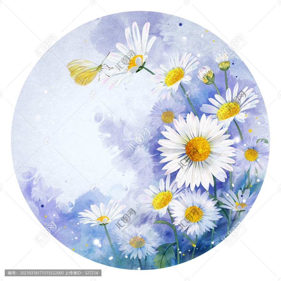 雛菊插畫
