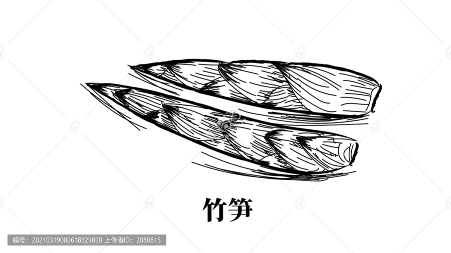 手繪竹筍
