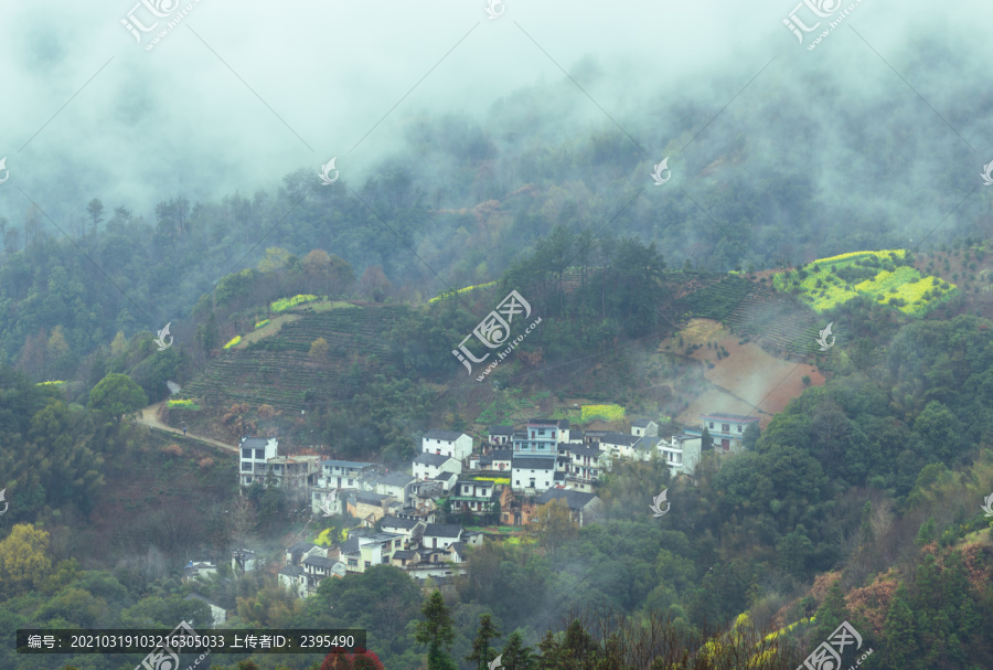 黄山市歙县坡山村油菜花云雾风景