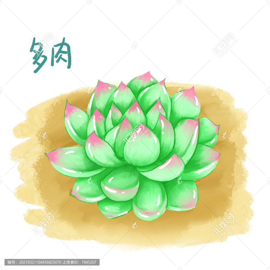 原創(chuàng)水彩多肉插畫設(shè)計