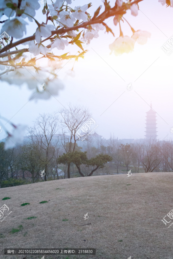 春暖花开