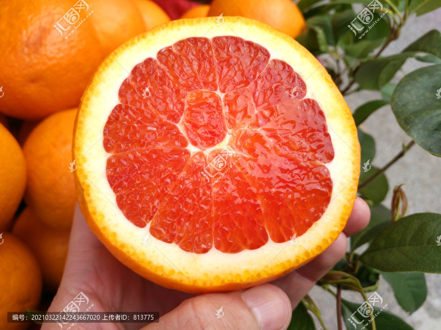 鲜果血橙