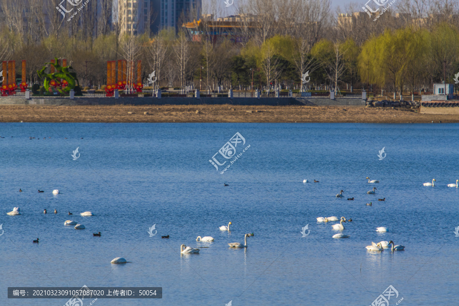 北京大兴南海子