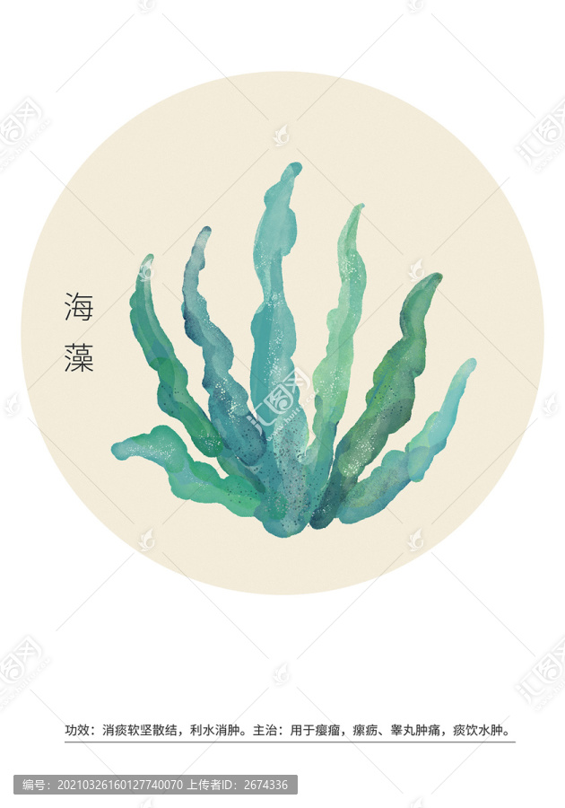 海藻